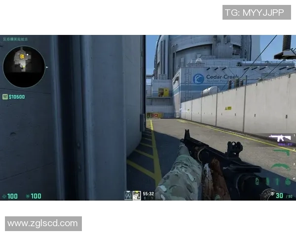 深入解析CSGO战术LNG防守体系的核心策略与执行细节实时数据